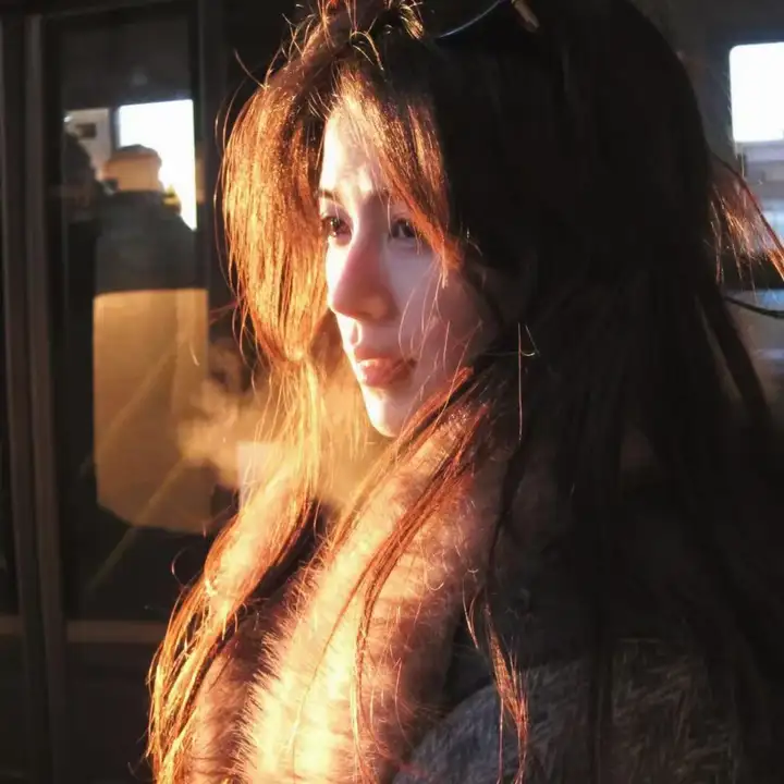 一鸣惊人之以梦为马